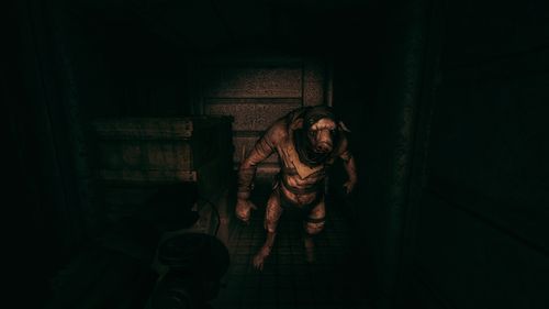 Amnesia Machine for Pigs Amnesia Machine for Pigs